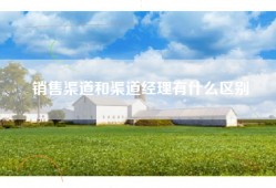 销售渠道和渠道经理有什么区别