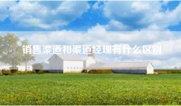 销售渠道和渠道经理有什么区别