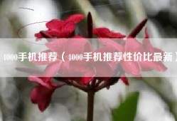 4000手机推荐（4000手机推荐性价比最新）