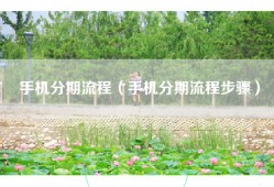 手机分期流程（手机分期流程步骤）