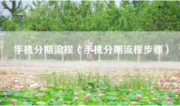 手机分期流程（手机分期流程步骤）