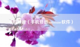 手机修音（手机修音autotune软件）