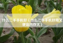 什么二手手机好（什么二手手机好用又便宜内存大）