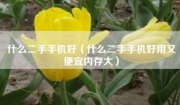 什么二手手机好（什么二手手机好用又便宜内存大）