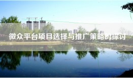 微众平台项目选择与推广策略的探讨