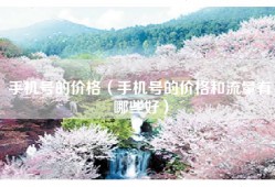 手机号的价格（手机号的价格和流量有哪些好）