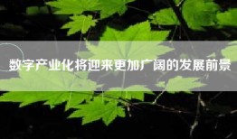 数字产业化将迎来更加广阔的发展前景