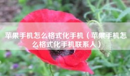 苹果手机怎么格式化手机（苹果手机怎么格式化手机联系人）