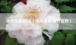 华为手机预订（华为手机预订官网）