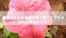 修华为手机屏幕多少钱（修一个华为手机的屏幕要多少钱）