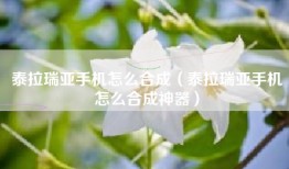 泰拉瑞亚手机怎么合成（泰拉瑞亚手机怎么合成神器）