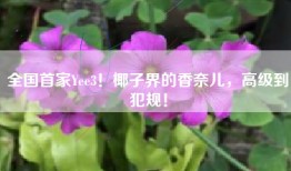 全国首家Yee3！椰子界的香奈儿，高级到犯规！