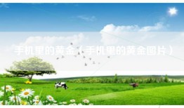手机里的黄金（手机里的黄金图片）
