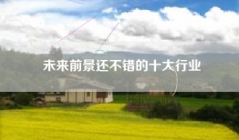 未来前景还不错的十大行业