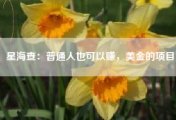 星海查：普通人也可以赚，美金的项目