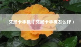 艾尼卡手机（艾尼卡手机怎么样）
