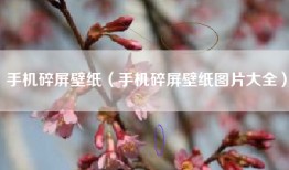 手机碎屏壁纸（手机碎屏壁纸图片大全）