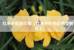 红米手机的价格（红米手机的价格及图片）