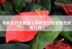 手机支付宝登录（手机支付宝登录方式有几种）
