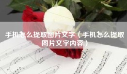 手机怎么提取图片文字（手机怎么提取图片文字内容）