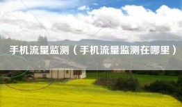手机流量监测(手机流量监测在哪里)