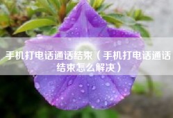 手机打电话通话结束（手机打电话通话结束怎么解决）