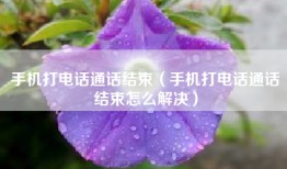 手机打电话通话结束（手机打电话通话结束怎么解决）