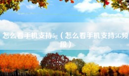 怎么看手机支持5g（怎么看手机支持5G频段）