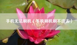 手机无法刷机（手机刷机刷不进去）