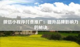 微信小程序付费推广：提升品牌影响力的秘诀