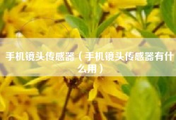 手机镜头传感器（手机镜头传感器有什么用）