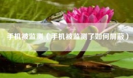 手机被监测（手机被监测了如何屏蔽）