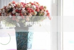 我和我的手机