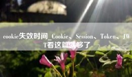 cookie失效时间_Cookie、Session、Token、JWT看这篇就够了