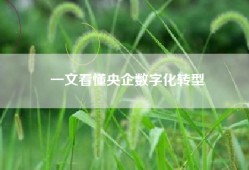 一文看懂央企数字化转型