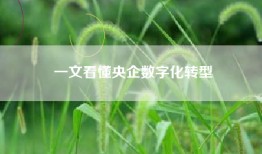 一文看懂央企数字化转型