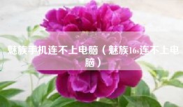 魅族手机连不上电脑（魅族16s连不上电脑）