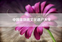 中国非物质文化遗产大全