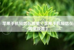 苹果手机短信在哪里（苹果手机短信在哪里设置）