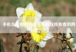 手机在线看的网站（手机在线能看的网址给一个）