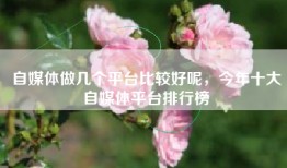 自媒体做几个平台比较好呢，今年十大自媒体平台排行榜