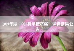 2019年度“CCF科学技术奖”评选结果公告