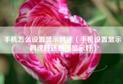 手机怎么设置显示网速（手机设置显示网速好还是不显示好）