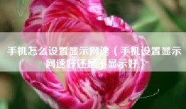 手机怎么设置显示网速（手机设置显示网速好还是不显示好）
