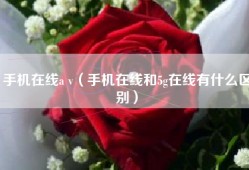 手机在线a v（手机在线和5g在线有什么区别）