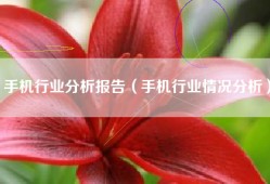 手机行业分析报告（手机行业情况分析）