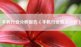 手机行业分析报告（手机行业情况分析）