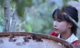 李子柒为啥这么火？原因找到了