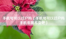 手机号可以过户吗（手机号可以过户吗手机年限不变吧）