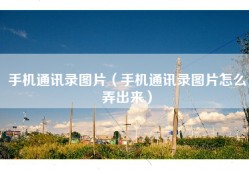 手机通讯录图片（手机通讯录图片怎么弄出来）